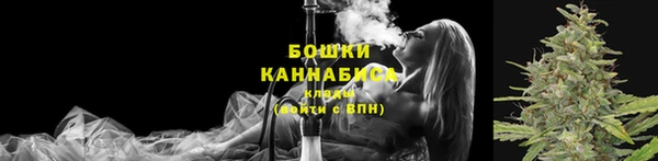 мяу мяу мука Михайлов