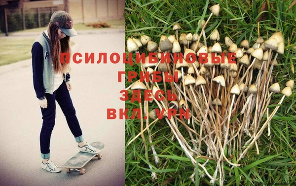 мяу мяу мука Михайлов