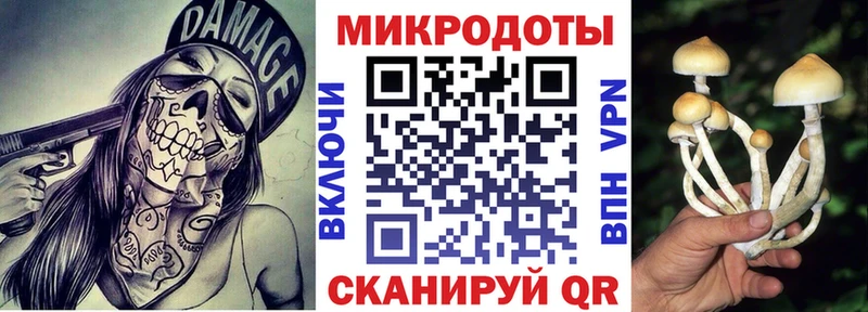 Псилоцибиновые грибы прущие грибы  Купить  Якутск